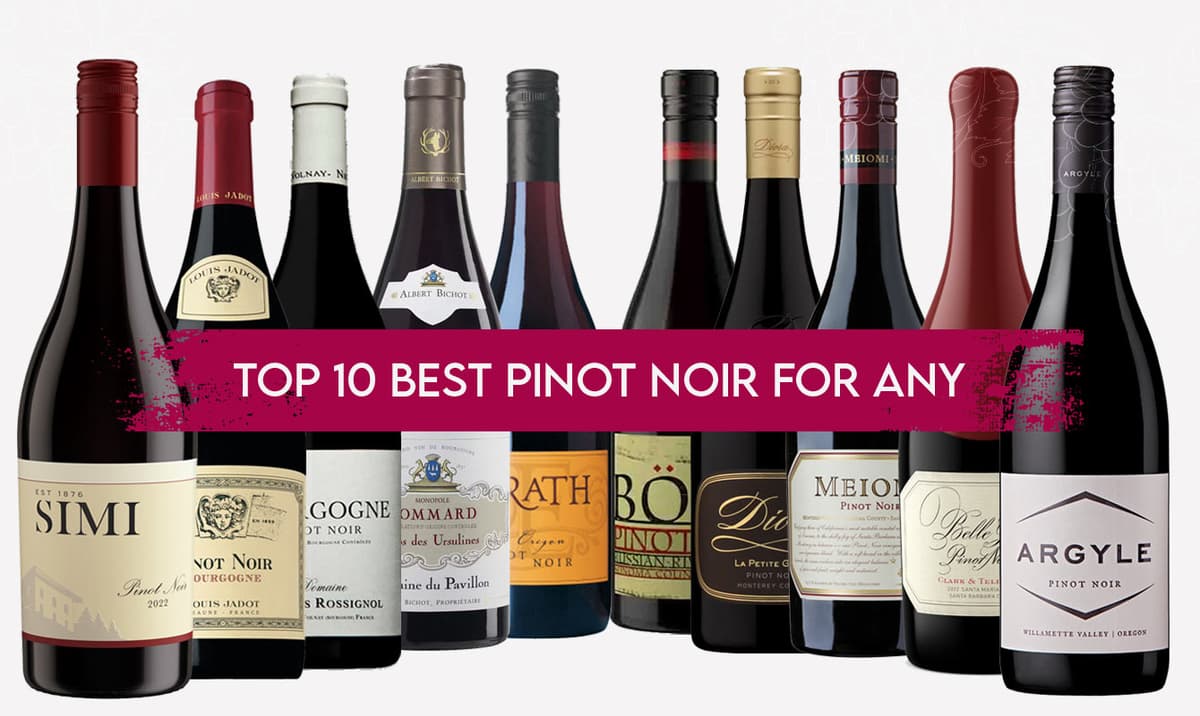 10 Best Pinot Noir Wines For All Budget & Occasions