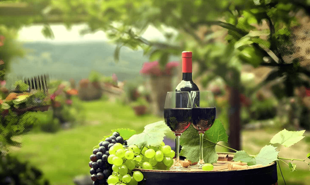 Bordeaux Wine And Travel