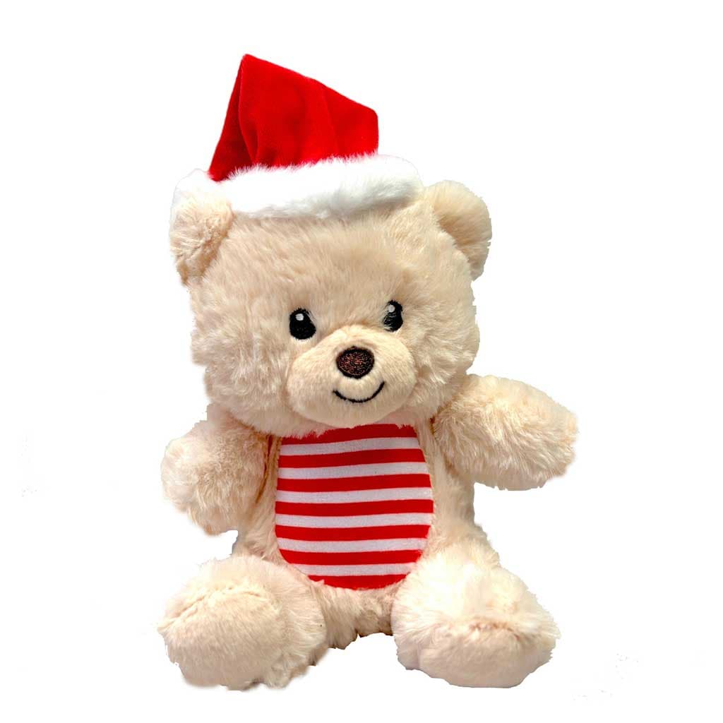 Teddy Bear Toy