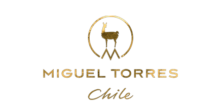 Miguel Torres