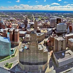 Buffalo 