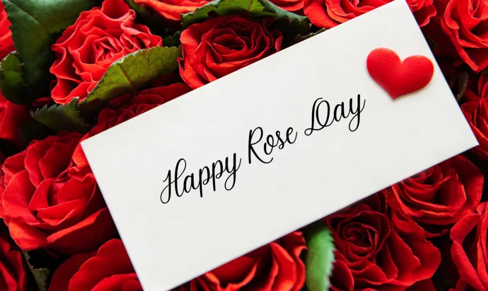 Rose Day 2026: Best Rose Day Wishes