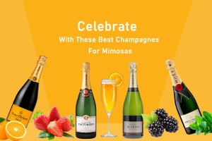 Celebrate With These Best Champagnes For Mimosas