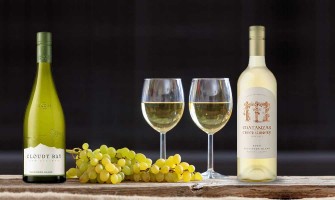 The Ultimate Sauvignon Blanc Guide(Best Rated Bottles, Food Pairings & Wine Gifting Ideas)