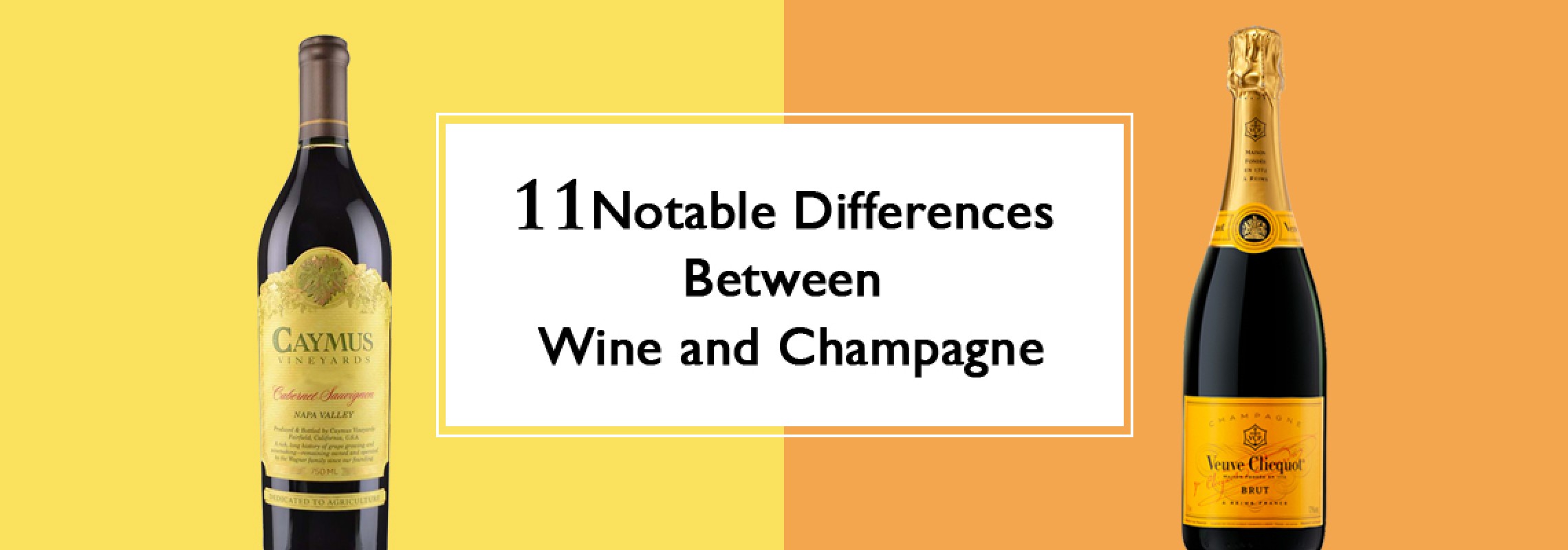11 Notable Differences Between Wine and Champagne