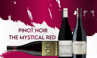 Pinot Noir - The Mystical Red Wine Guide