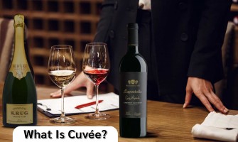 What Is Cuvée? A Beginner-Friendly Guide to Understand the Term