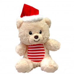 Teddy Bear Toy