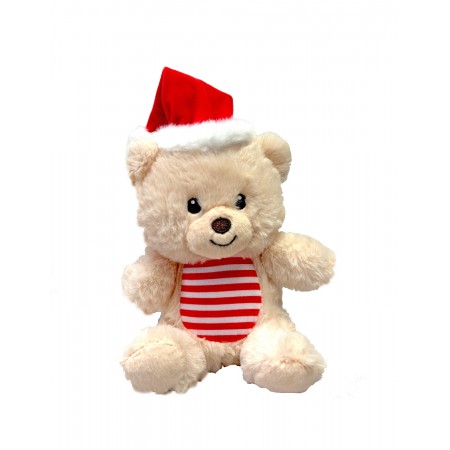 Teddy Bear Toy