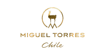 miguel torres
