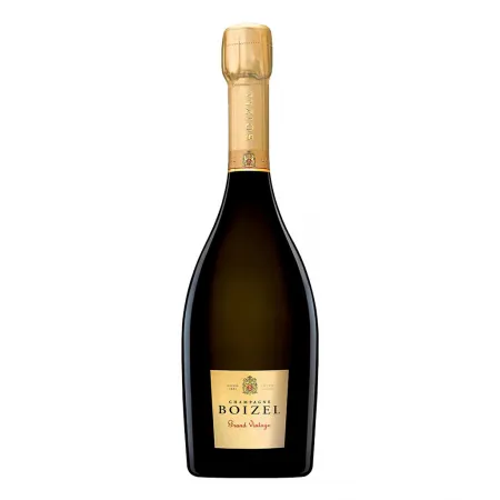 Best Boizel Grand Vintage Champagne
