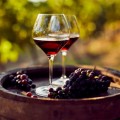 Pinot Noir Wine Gifts