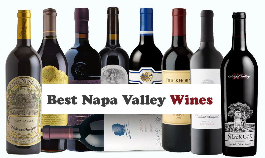 Best Napa Valley Wines for Every Occasion & Budget