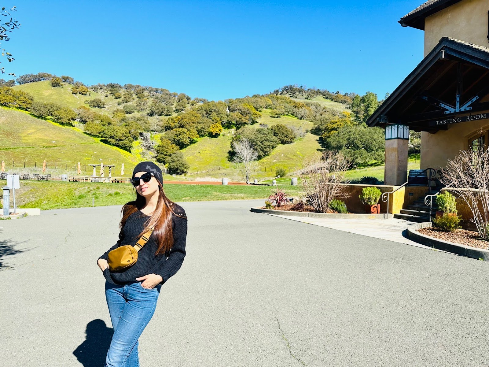 Napa Valley Wineries